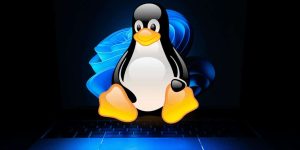 Linux-Windows-Zorin-OS-18.jpg